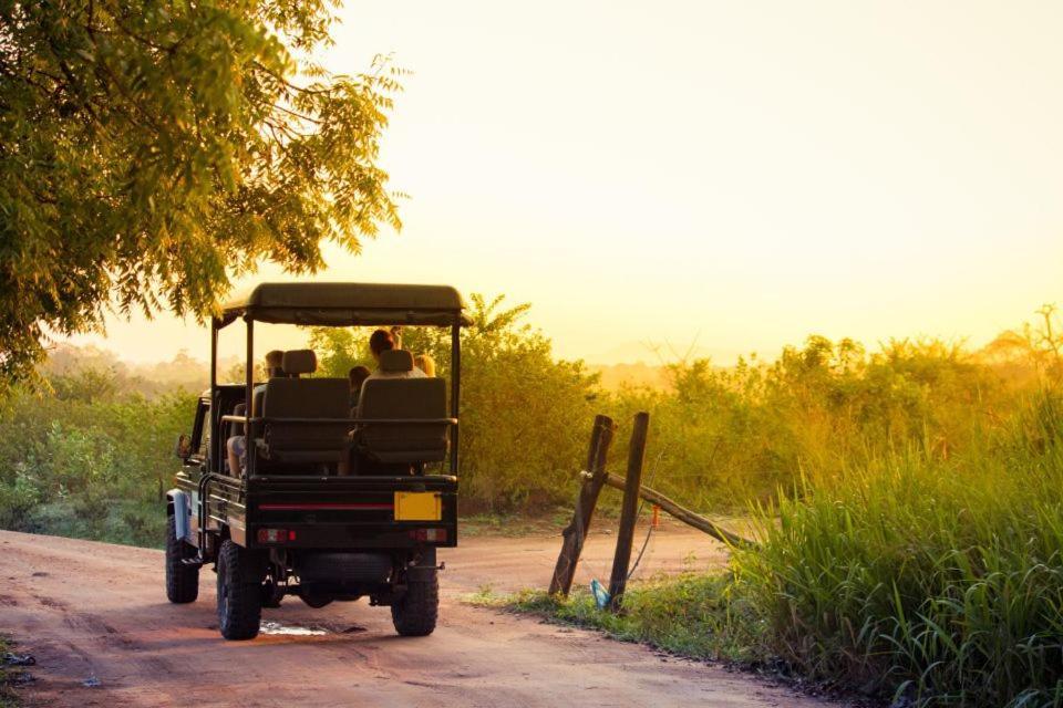 Wild Park Safari Home Stay Udawalawe Exterior foto